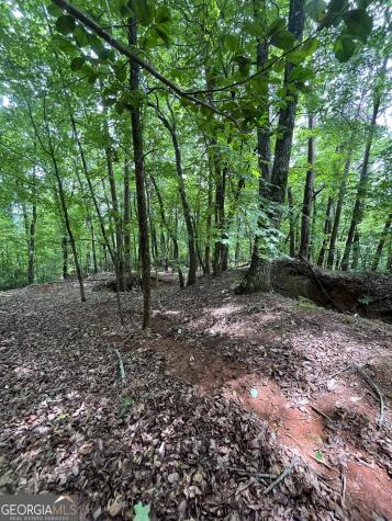 0 White Stone Drive Cleveland GA 30528