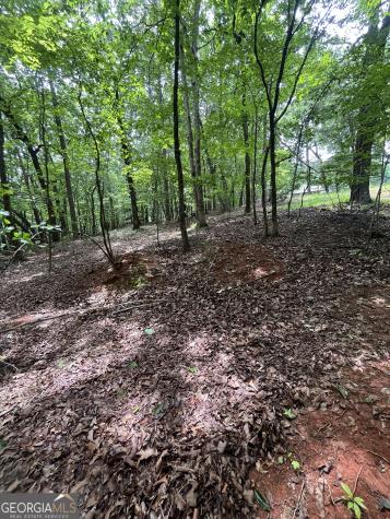 0 White Stone Drive Cleveland GA 30528