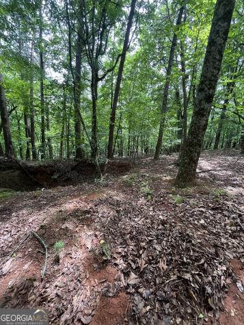 0 White Stone Drive Cleveland GA 30528