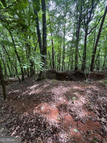 0 White Stone Drive Cleveland GA 30528