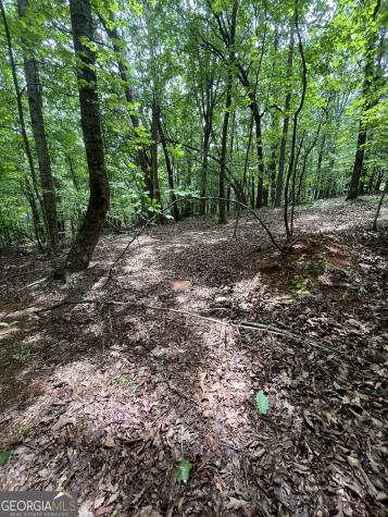 0 White Stone Drive Cleveland GA 30528