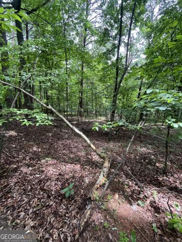 0 White Stone Drive Cleveland GA 30528