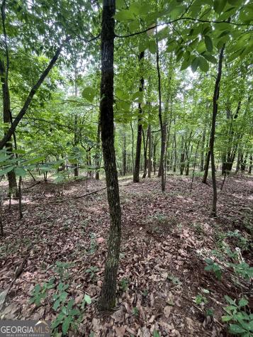0 White Stone Drive Cleveland GA 30528
