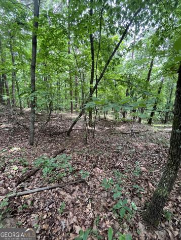 0 White Stone Drive Cleveland GA 30528