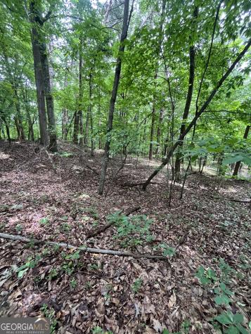0 White Stone Drive Cleveland GA 30528