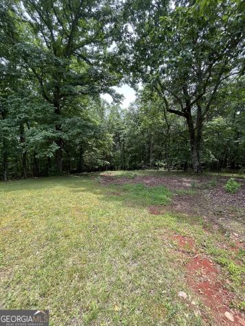 0 White Stone Drive Cleveland GA 30528