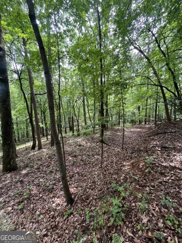 0 White Stone Drive Cleveland GA 30528