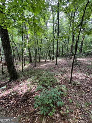 0 White Stone Drive Cleveland GA 30528