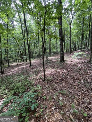 0 White Stone Drive Cleveland GA 30528