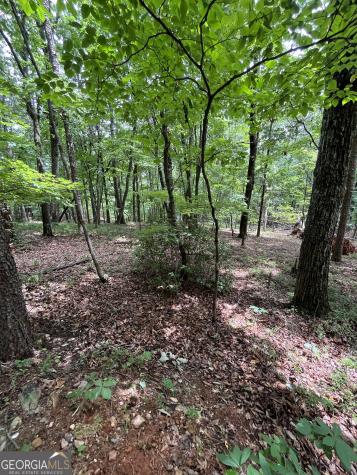 0 White Stone Drive Cleveland GA 30528