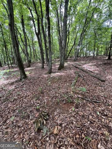 0 White Stone Drive Cleveland GA 30528