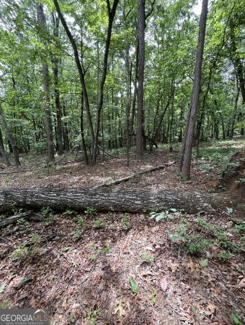 0 White Stone Drive Cleveland GA 30528