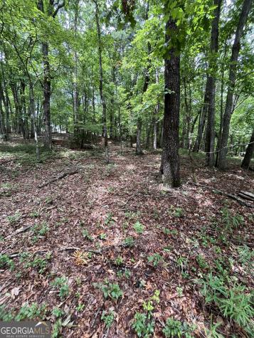 0 White Stone Drive Cleveland GA 30528