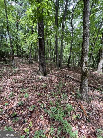 0 White Stone Drive Cleveland GA 30528