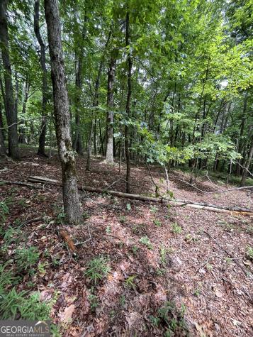 0 White Stone Drive Cleveland GA 30528