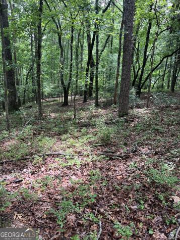 0 White Stone Drive Cleveland GA 30528