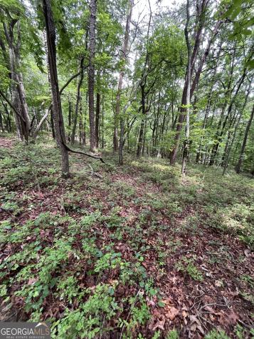 0 White Stone Drive Cleveland GA 30528