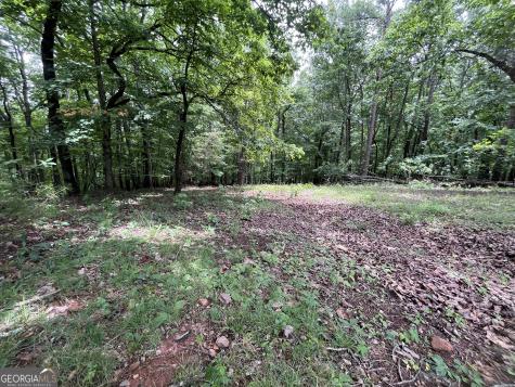 0 White Stone Drive Cleveland GA 30528