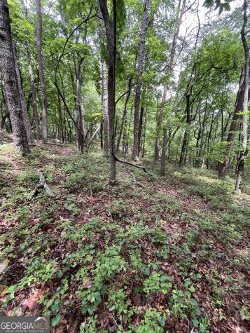 0 White Stone Drive Cleveland GA 30528