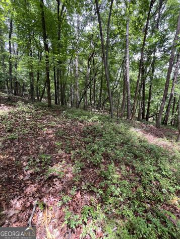 0 White Stone Drive Cleveland GA 30528