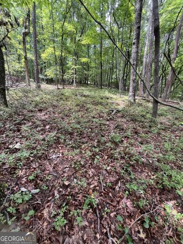 0 White Stone Drive Cleveland GA 30528