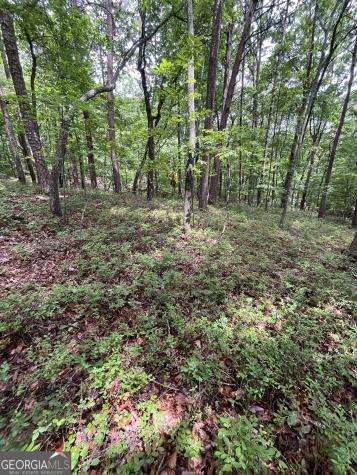 0 White Stone Drive Cleveland GA 30528