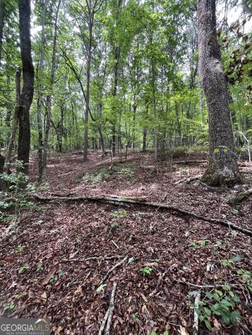 0 White Stone Drive Cleveland GA 30528