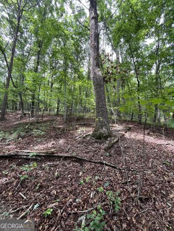 0 White Stone Drive Cleveland GA 30528