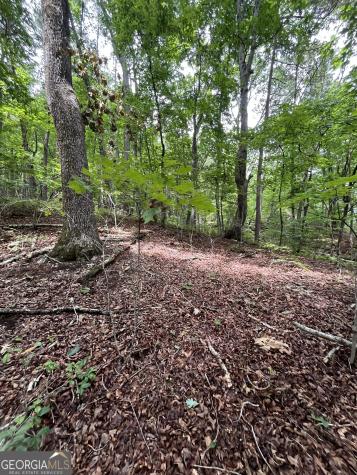 0 White Stone Drive Cleveland GA 30528