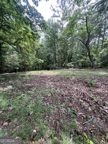 0 White Stone Drive Cleveland GA 30528