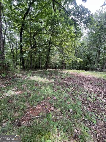 0 White Stone Drive Cleveland GA 30528