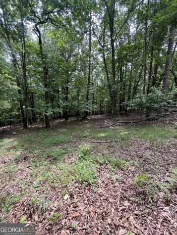 0 White Stone Drive Cleveland GA 30528