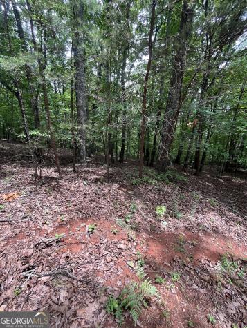 0 White Stone Drive Cleveland GA 30528