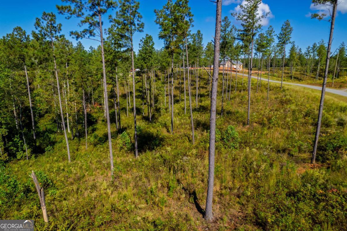 Lot 140 River Reach Lane Talking Rock GA 30175