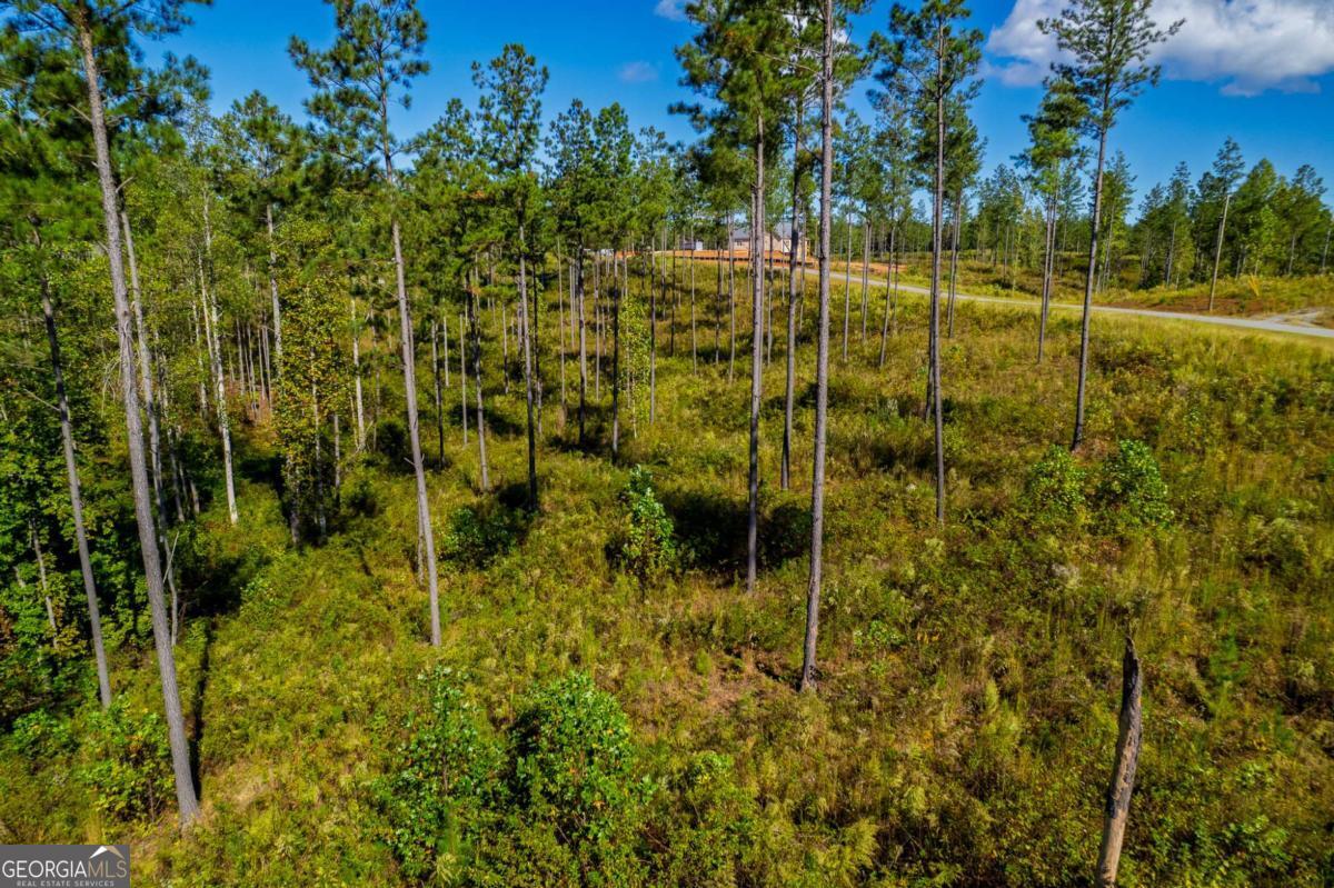 Lot 140 River Reach Lane Talking Rock GA 30175