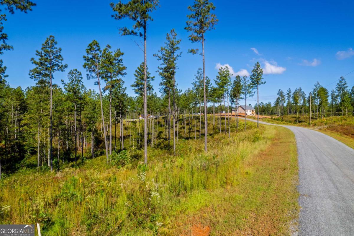 Lot 140 River Reach Lane Talking Rock GA 30175