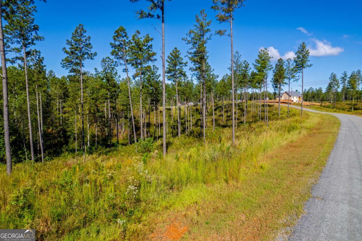 Lot 140 River Reach Lane Talking Rock GA 30175