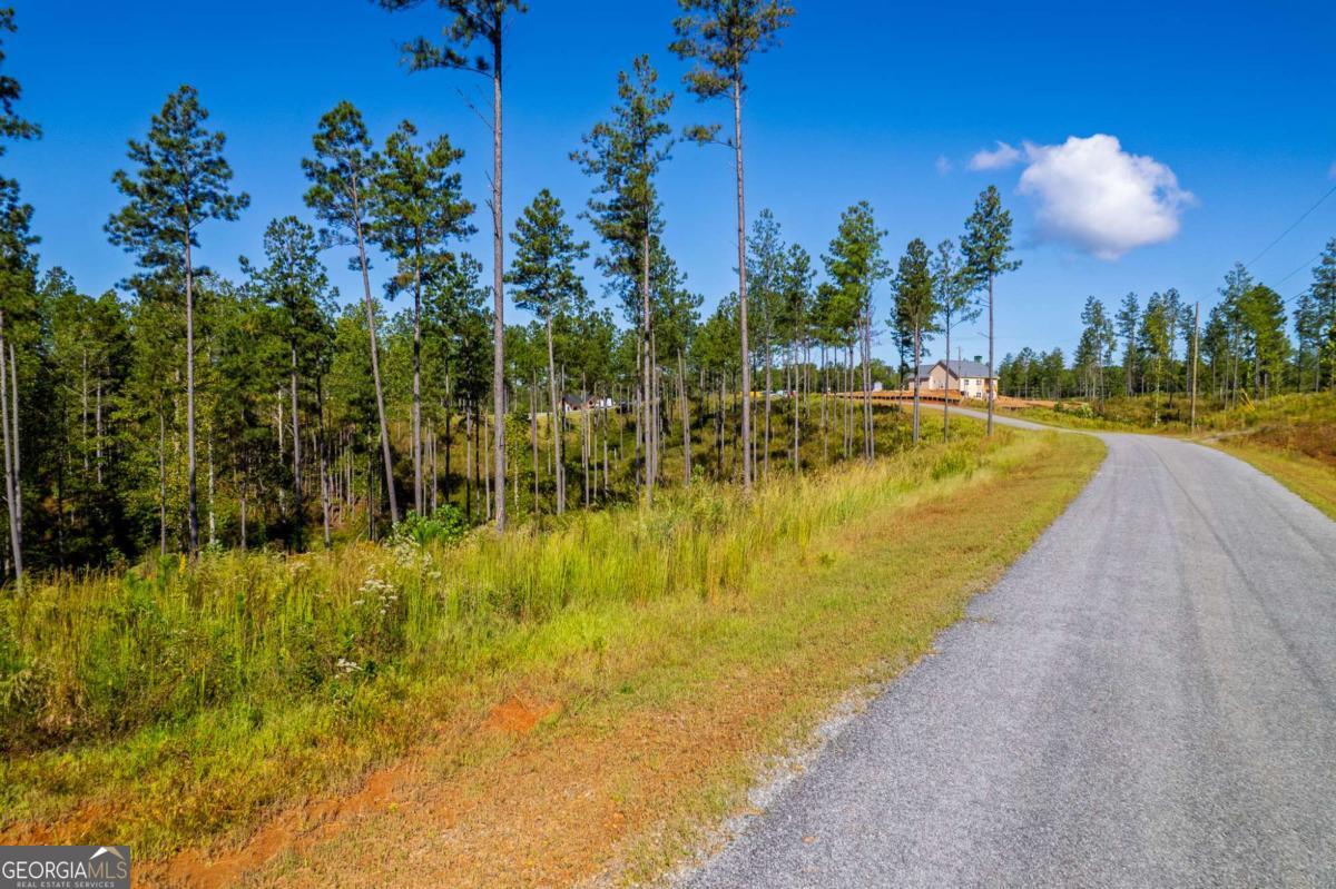 Lot 140 River Reach Lane Talking Rock GA 30175
