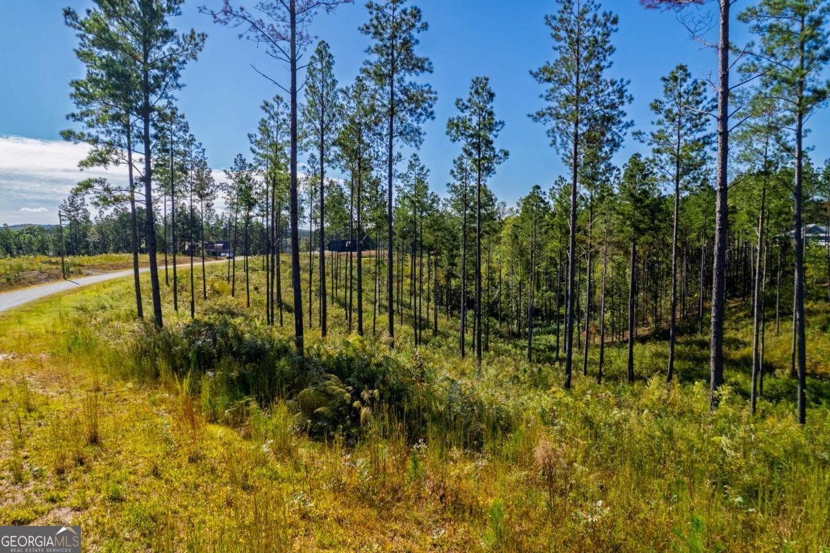 Lot 140 River Reach Lane Talking Rock GA 30175