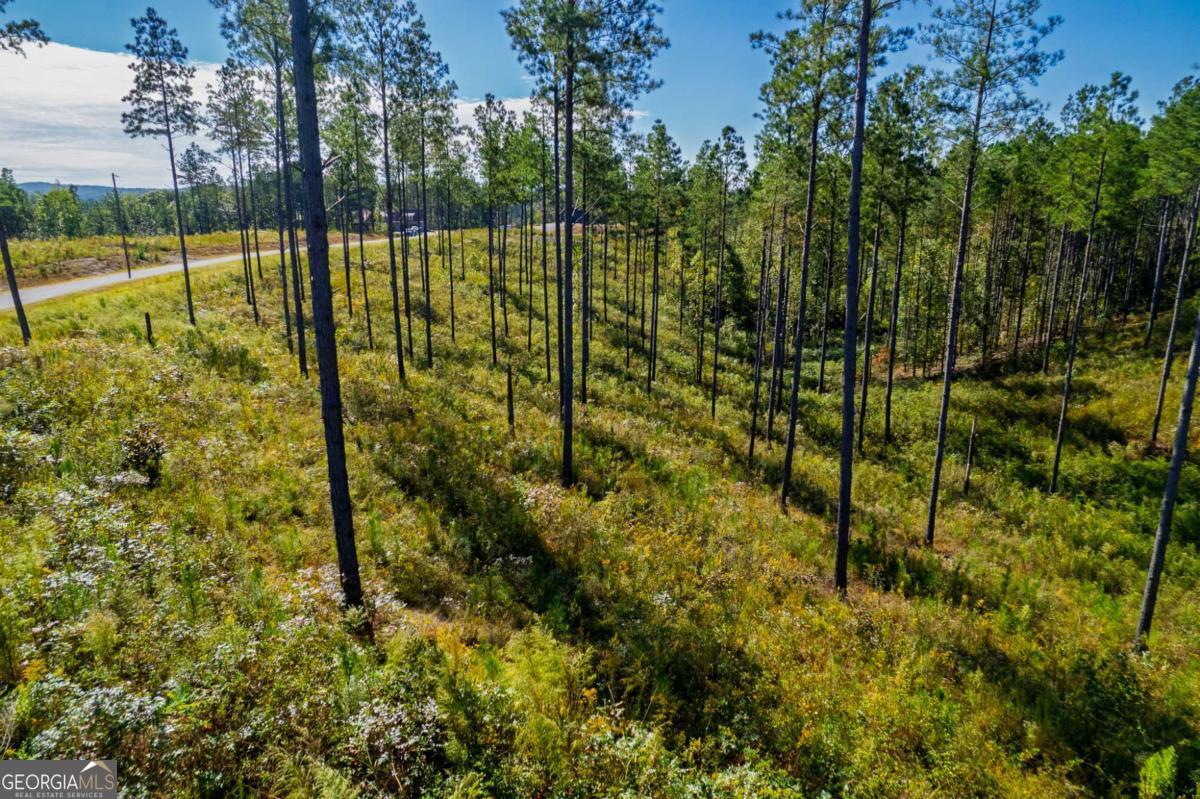 Lot 140 River Reach Lane Talking Rock GA 30175