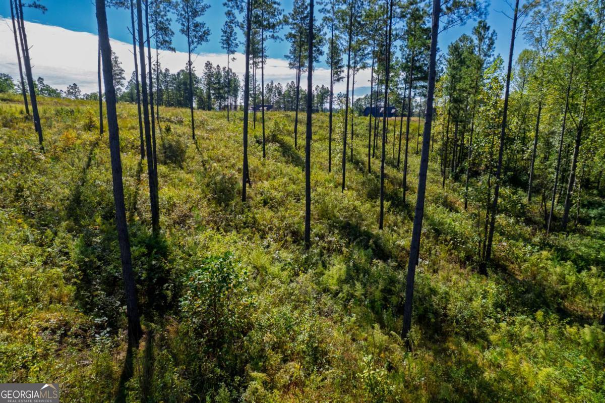 Lot 140 River Reach Lane Talking Rock GA 30175