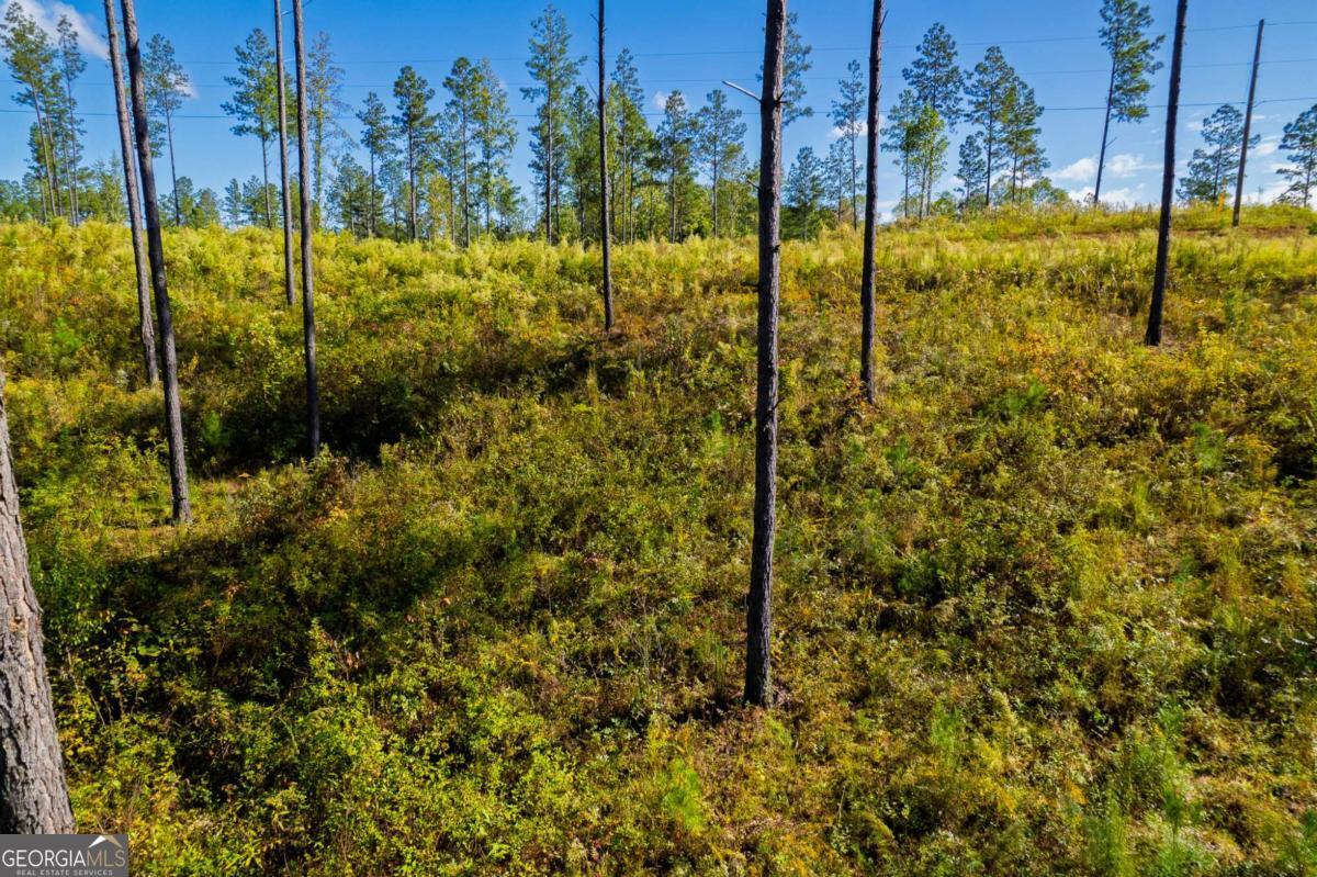Lot 140 River Reach Lane Talking Rock GA 30175