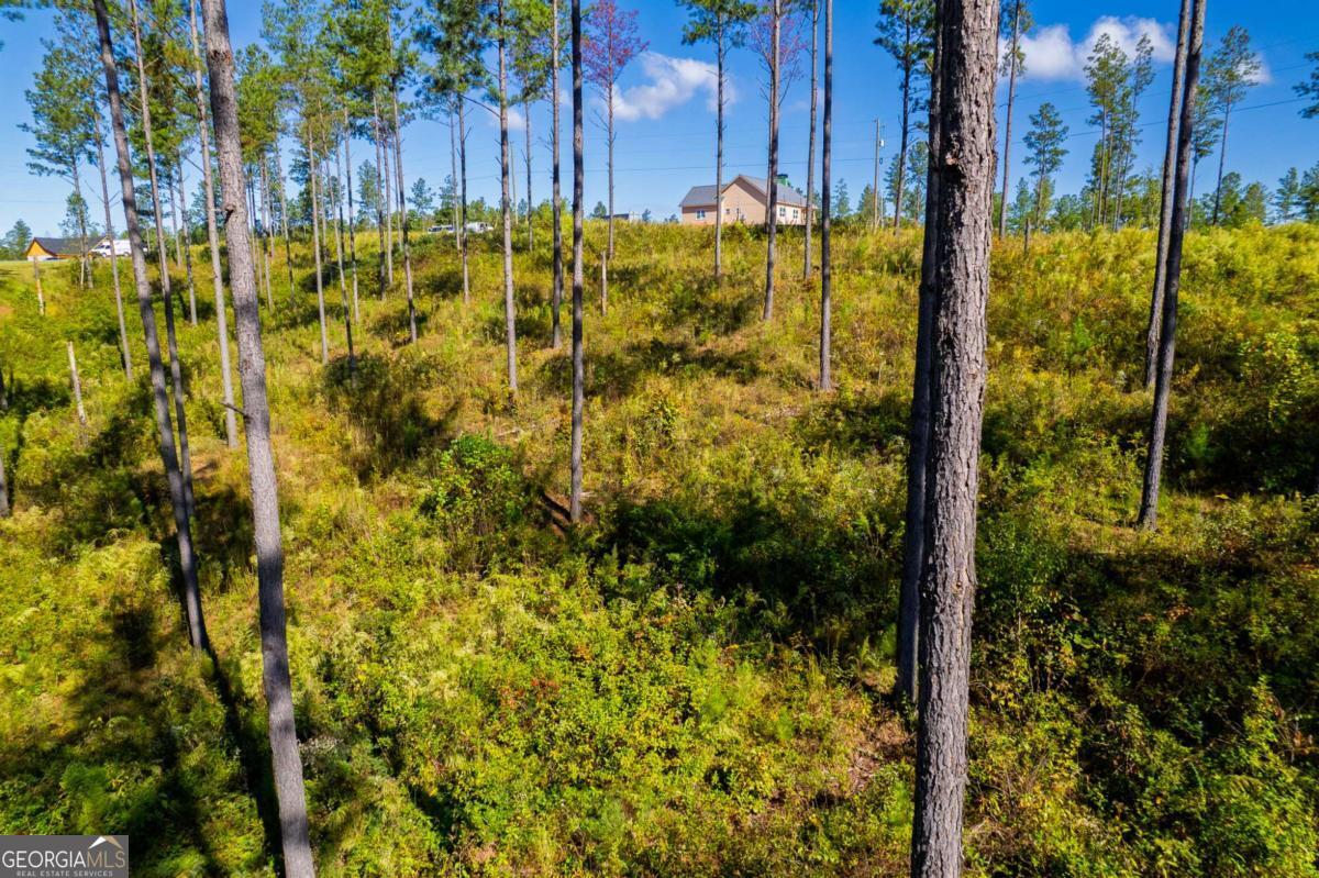 Lot 140 River Reach Lane Talking Rock GA 30175