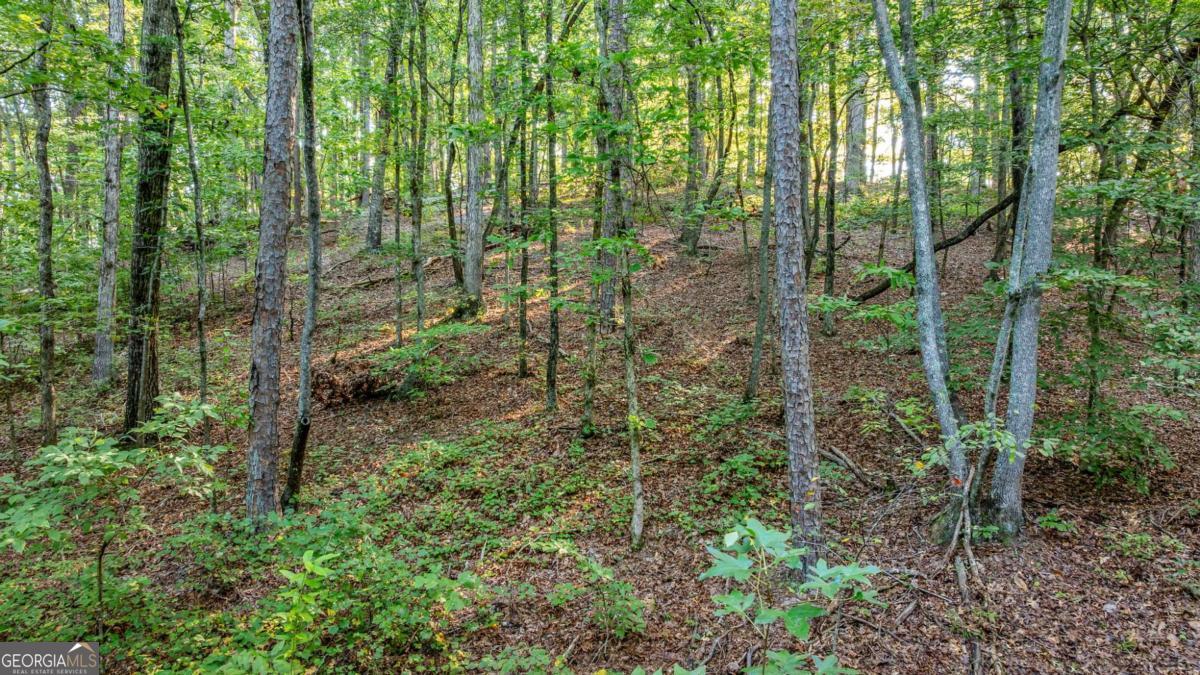 0 Myrtle Drive Dahlonega GA 30533
