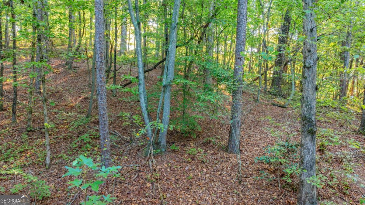 0 Myrtle Drive Dahlonega GA 30533