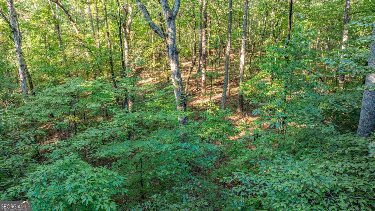 0 Myrtle Drive Dahlonega GA 30533
