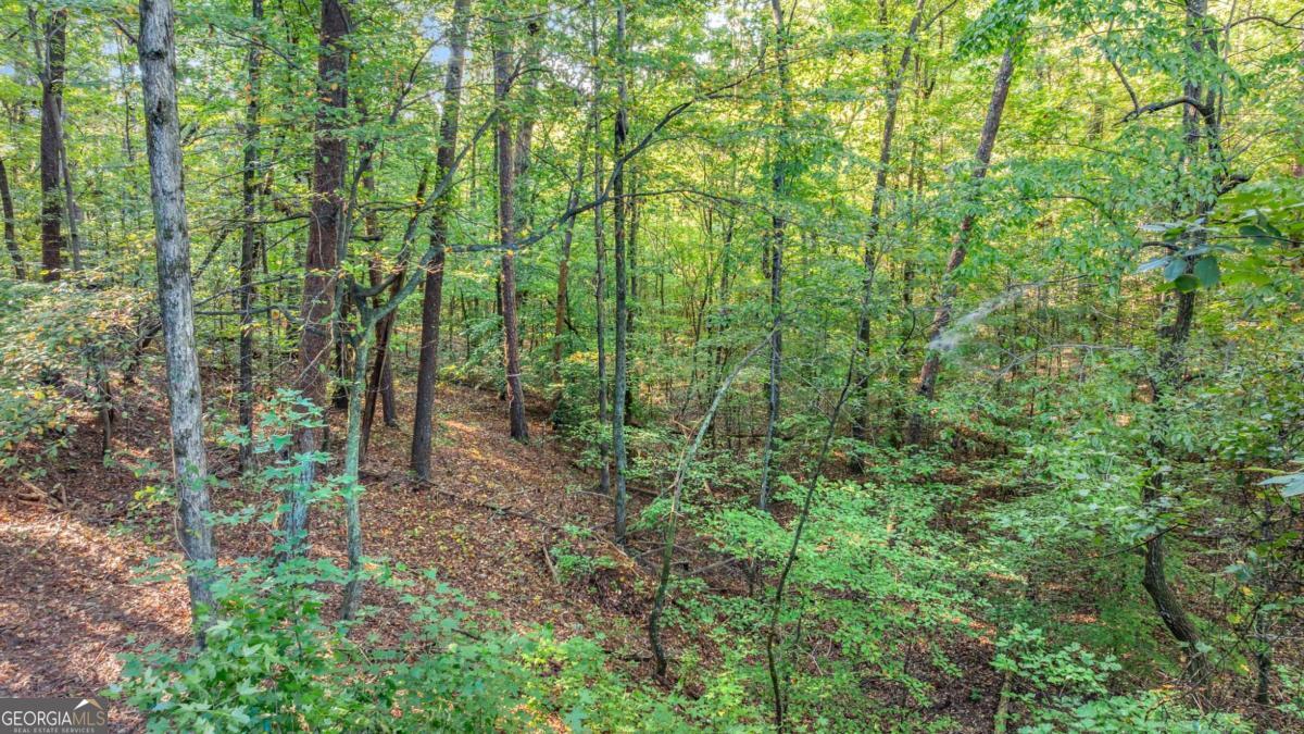 0 Myrtle Drive Dahlonega GA 30533