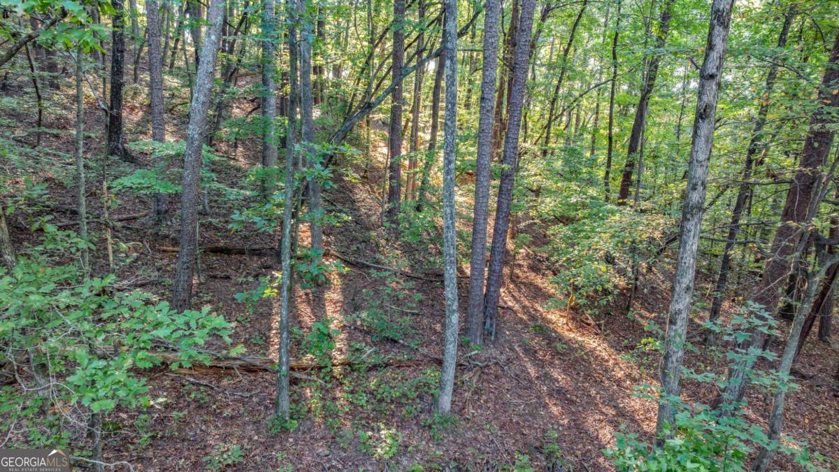 0 Myrtle Drive Dahlonega GA 30533