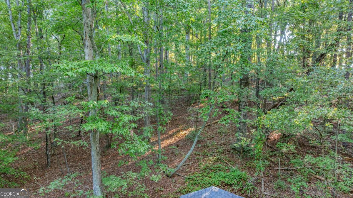 0 Myrtle Drive Dahlonega GA 30533