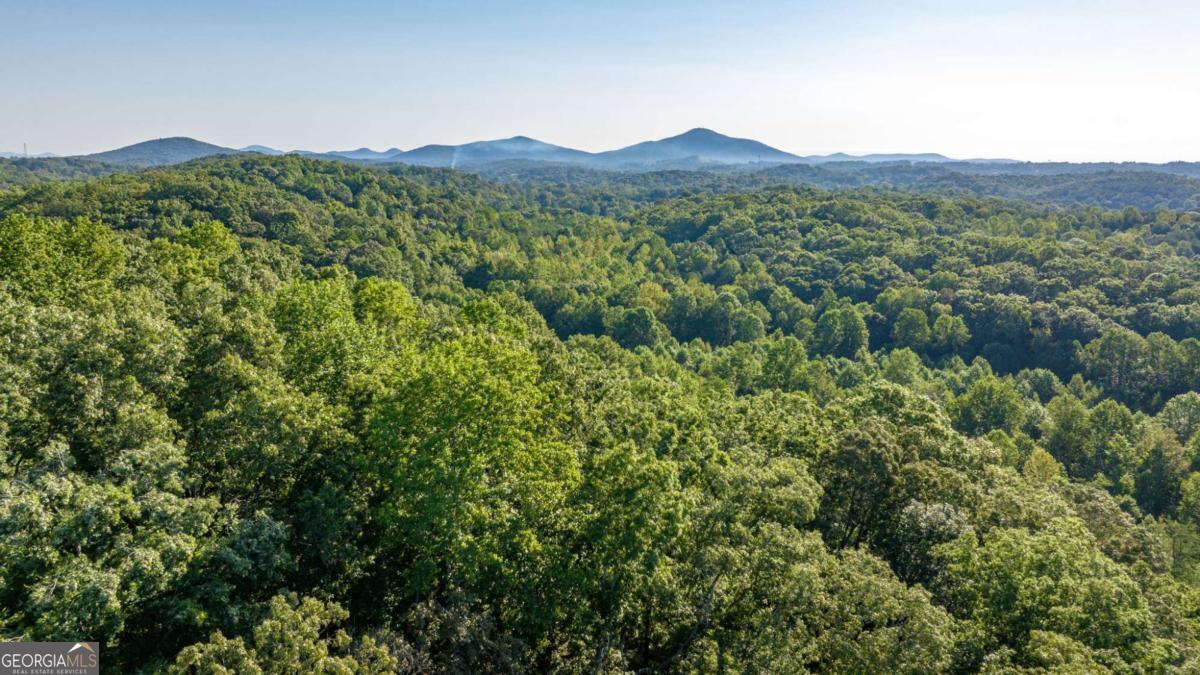 0 Myrtle Drive Dahlonega GA 30533